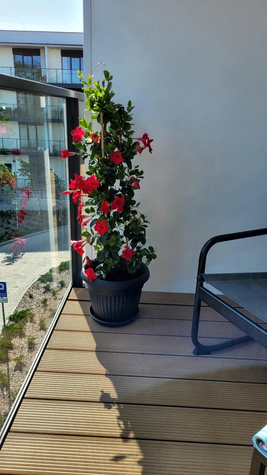 Appartamento Soleggiato Z Basenem Dziwnow Exterior photo